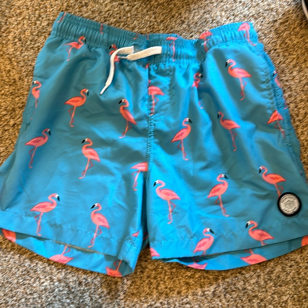 Boys swim trunks